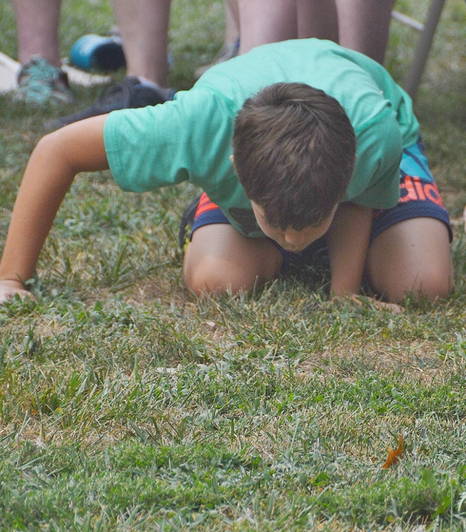 frog race